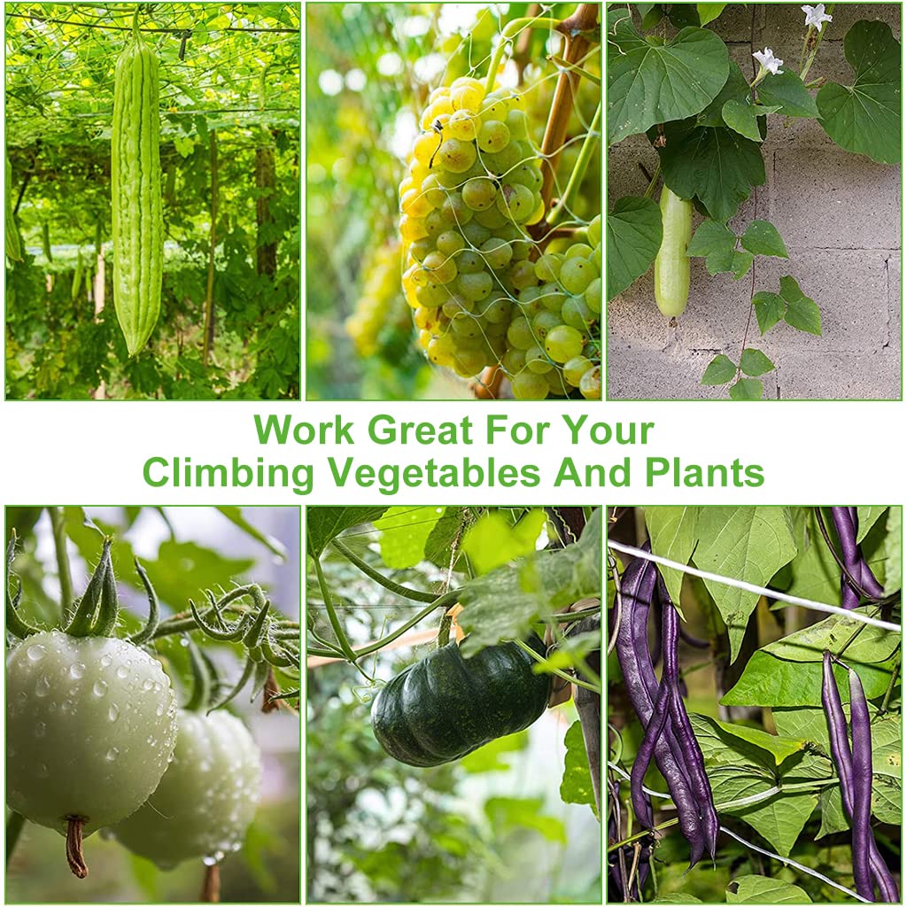 HASTHIP 5*30 ft Creeper Plant Support Net For Agriculture And Gardening, Heavy-Duty Polyester Creepers and Climbers Plants Trellis Netting for Climbing Plants, Vegetables, Fruits, and Flowers HASTHIP 5*30 ft Creeper Plant Support Net For Agriculture And Gardening, Heavy-Duty Polyester Creepers and Climbers Plants Trellis Netting for Climbing Plants, Vegetables, Fruits, and Flowers